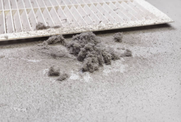 Best Air Duct Cleaning Near Me  in Ellsworth, WI