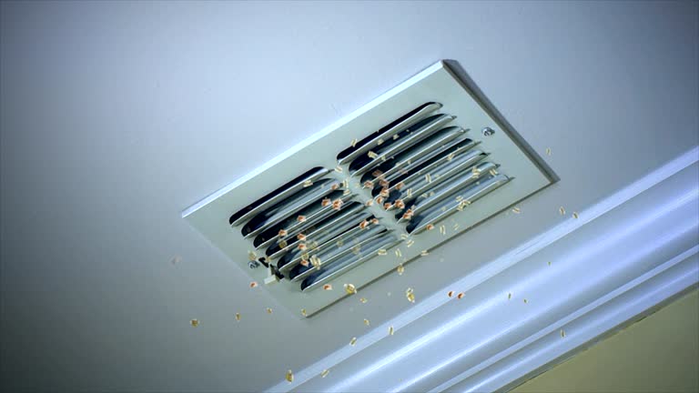 Best HVAC System Cleaning  in Ellsworth, WI