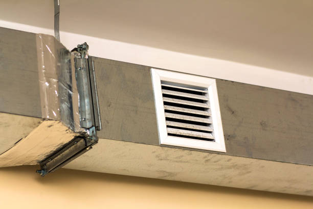 Best Air Duct Sanitizing Services  in Ellsworth, WI